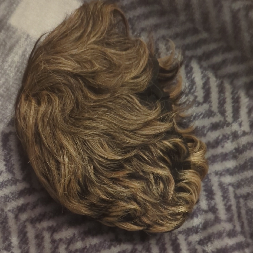 Just USA Luxurious Brown Hair Wig - Picture 3 of 3